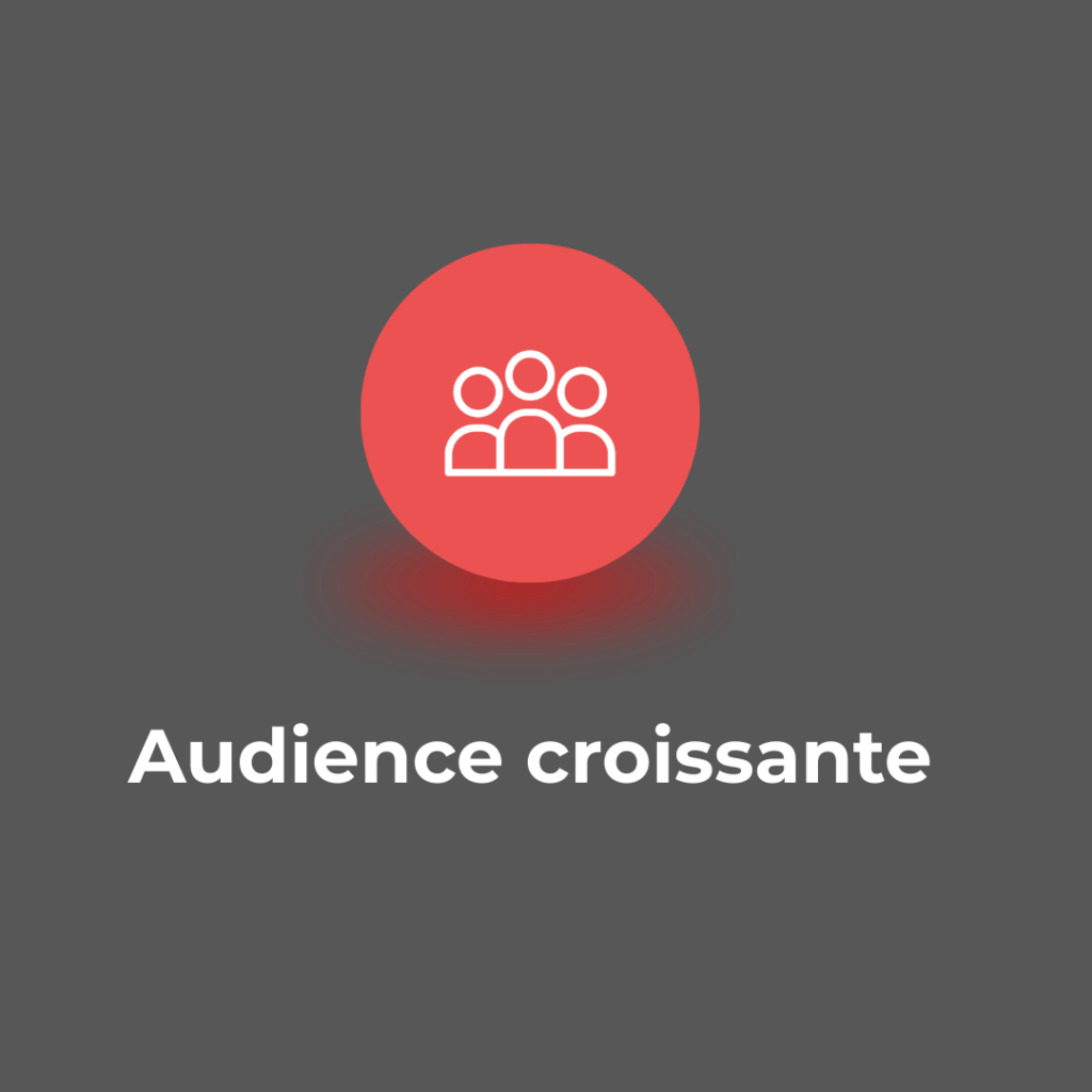 Audience réseaux sociaux